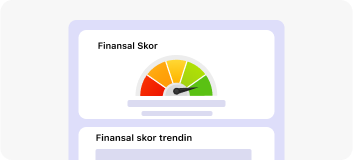 Kobilere Özel Finansal Rapor
