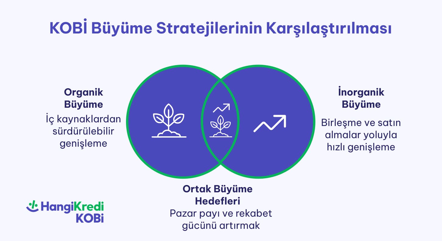 blog ici 726x396 min 2 - Organik ve İnorganik B&uuml;y&uuml;me Arasındaki Farklar Nelerdir?